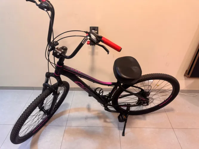 Bicicleta oggi