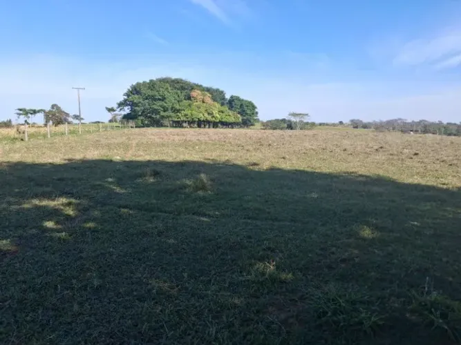 Sítio de 11,5 Alqueires (27,8 ha) em Presidente Bernardes - SP