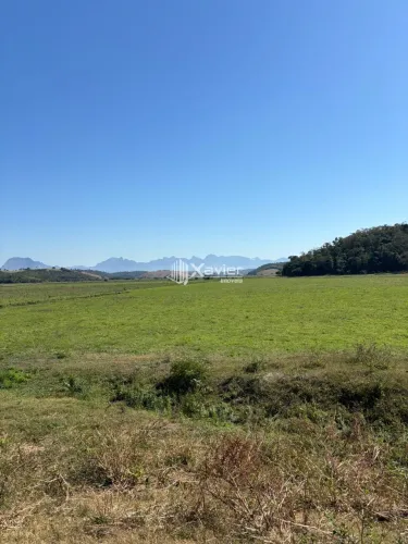 Fazenda 32,7 Alqueires em Presidente Kennedy/ES - Estrutura Completa, Pastagens Formadas e