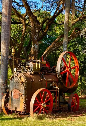 À VENDA - Rara Locomóvel à vapor TH. FLOETHER 1911