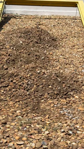 Pedra para jardim e obra