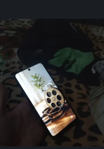Celular