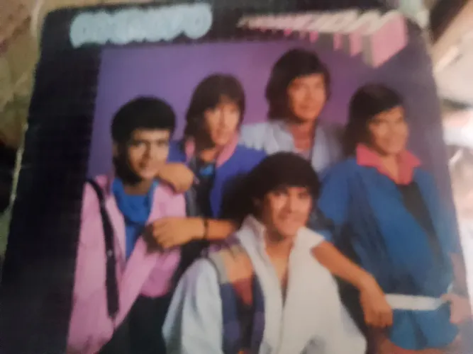 Discos de Vinil Menudo