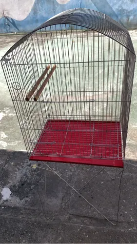 gaiola 1 mês de uso
