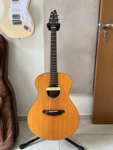 Violão Breedlove + Lr Baggs M1A