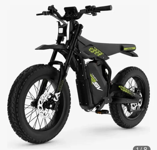 Bike elétrica LF 03 1000W 48v20 ah Fat Tire