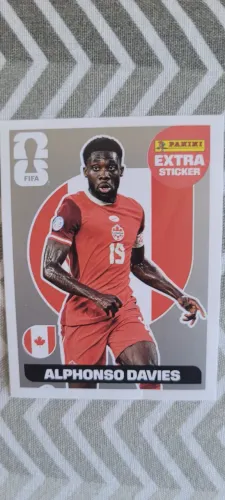 Figurinha da Copa legend ( prata )
