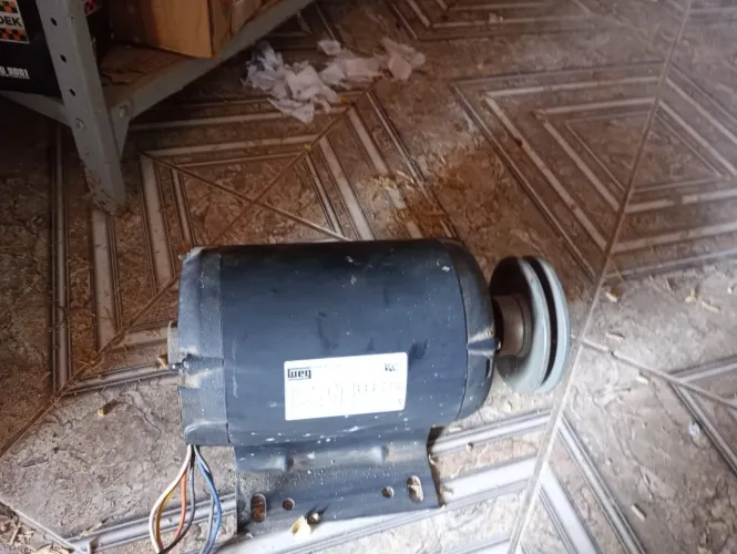 Motor trifásico 3 cv