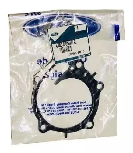 Junta da bomba D?água Ka 14 1.0 CVT 12v Flex