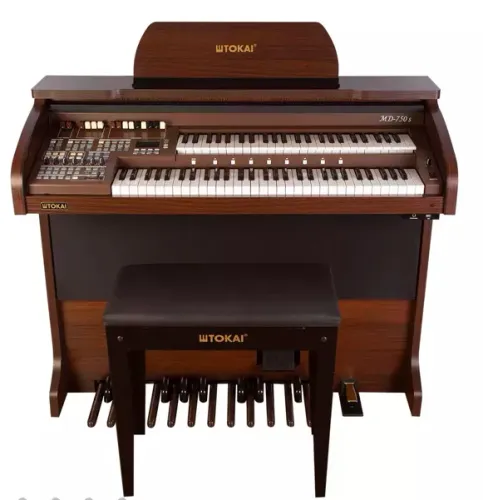 Manutenção órgãos eletrônicos e pianos digitais