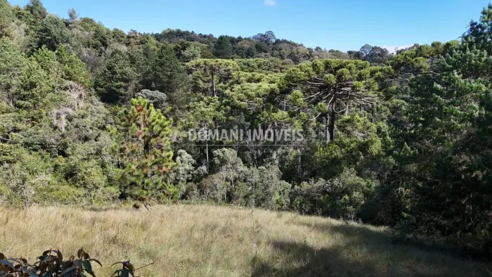 Excelente Área de Terreno de Oportunidade na Região do Toriba - Campos do Jordão/SP