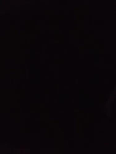 Barracao fundos _alugado