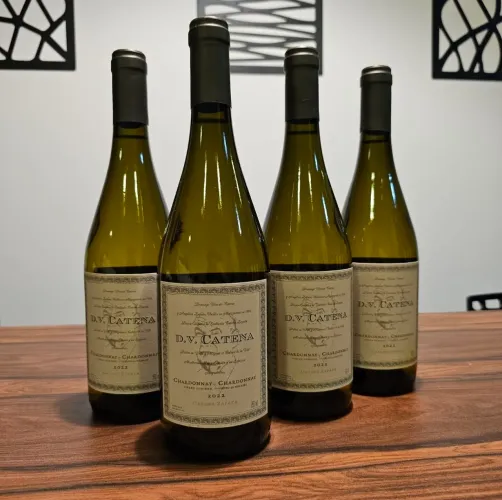 DV Catena Chardonnay 