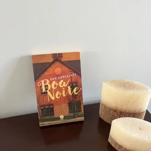 livro boa noite pam gonçalves