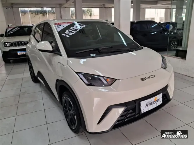 BYD Dolphin Mini (Elétrico) 2025