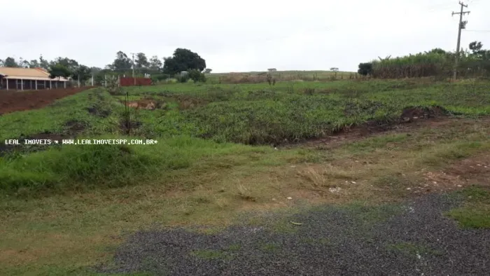 Chácara para Venda em Alfredo Marcondes, ZONA RURAL