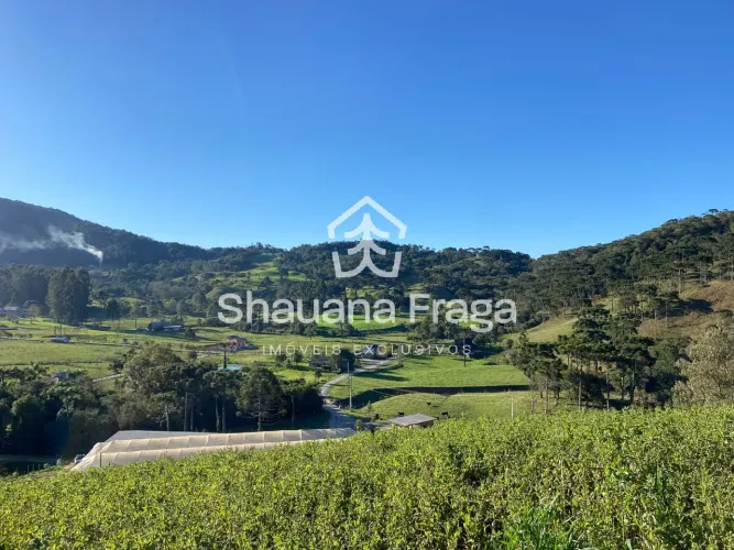 Rancho Queimado - Terreno Rural ? 3 ha, Rio na Propriedade, 95% Limpo e Estufa de Morango 