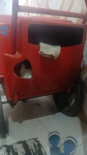 Carroça de piccolé