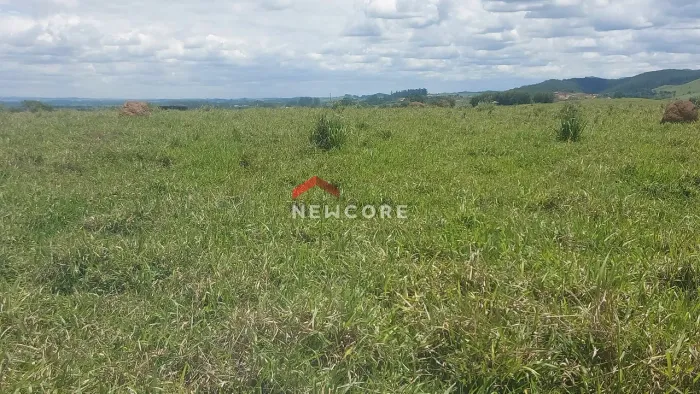 Fazenda em Rodovia Rodrigues Pinheiro - Rodovia Rodrigues Pinheiro - Tremembé/SP