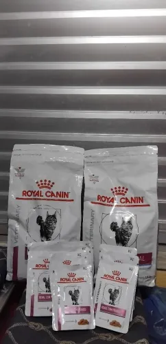 Kit de ração renal para gatos 