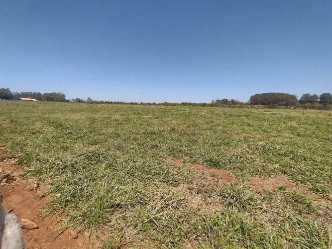 Vende-se Sítio de 6 Alqueires no Paraná .