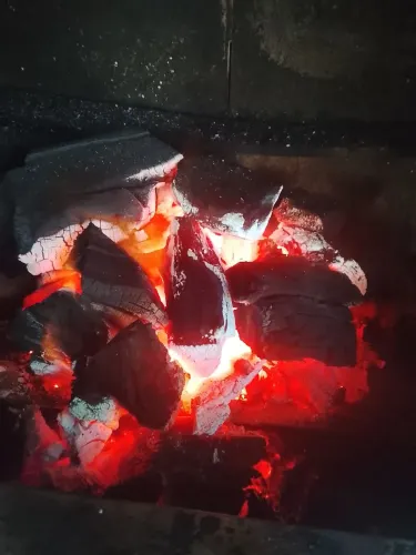Carvão bruto para churrasco 