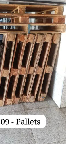Pallets de madeira 