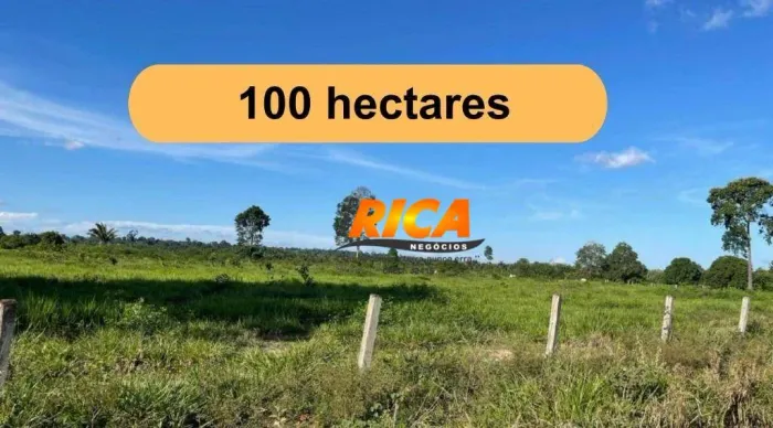 Oportunidade única! Fazenda localizada a apenas 44km de Candeias do Jamari