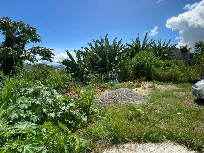 Terreno de 379m² na Agronômica