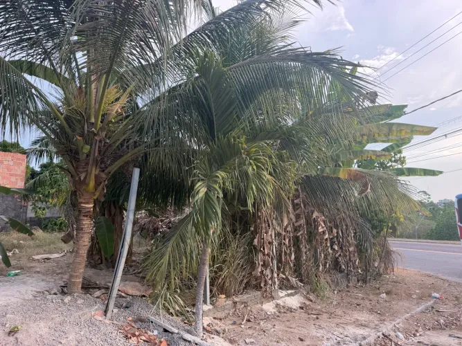 SERVIÇO LIMPEZA OBRA E JARDINAGEM