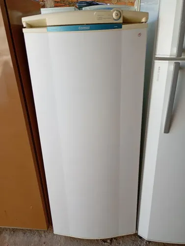 Geladeira degelo seco nunca foi pra concerto