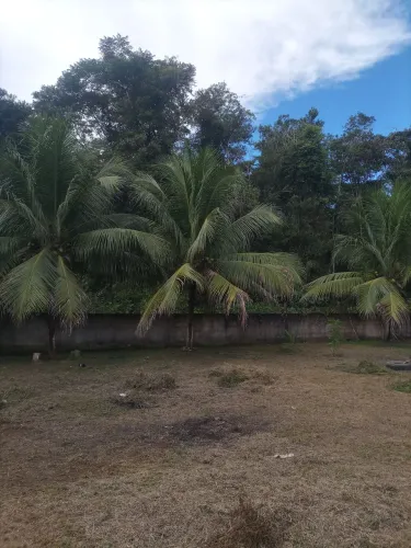 Vendo Sítio AM070