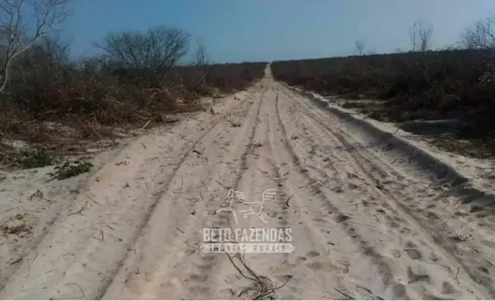 Imóvel para venda possui  metros quadrados em Zona Rural - Pilão Arcado - BA