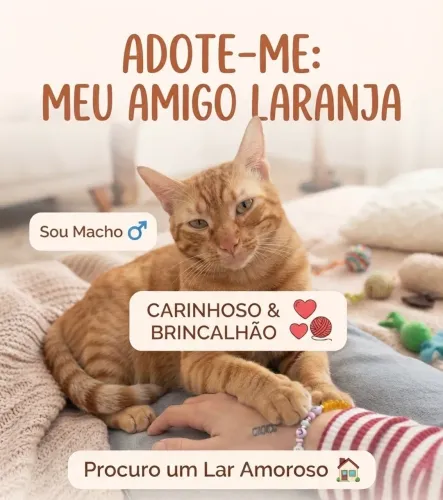 Gato laranja