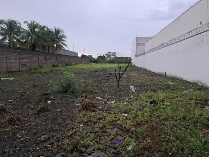 Terreno plano de 1.082m² para locação e venda - Vila Elisa
