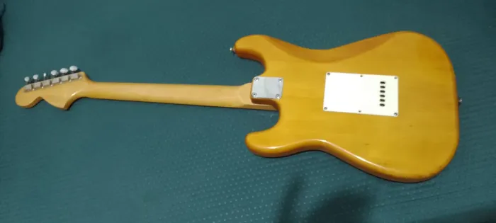 Guitarra Tagima 