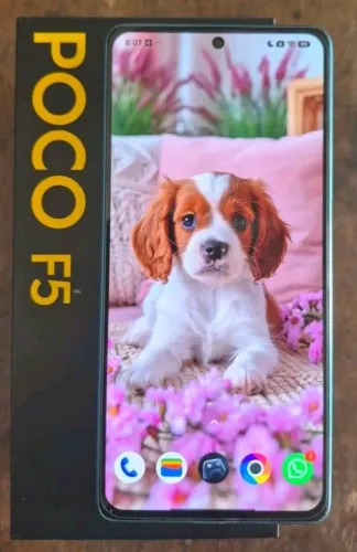 Poco F5 256Gb 12Gb de RAM
