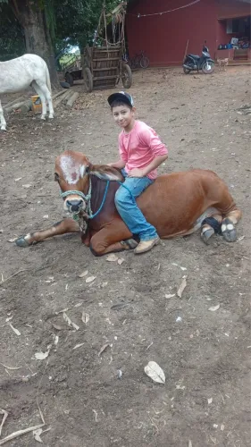 Mini boi