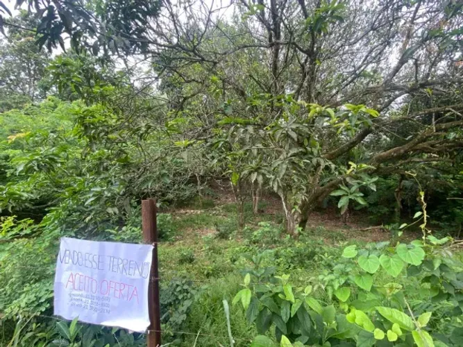 Sítio em Camões direto com o proprietário