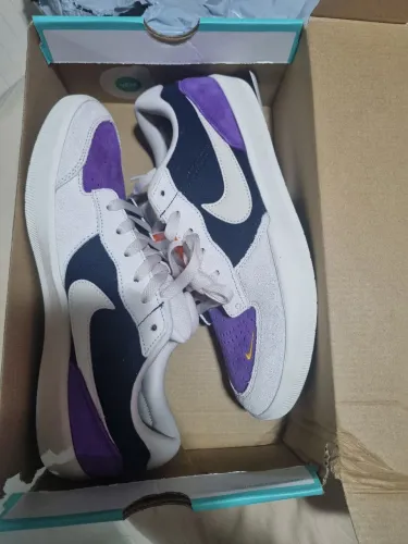 Tenis Nike SB Force 58