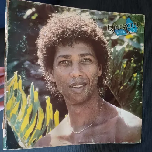 Lp vinil Djavan Meu Lado capa dupla, sem encarte, midia otima