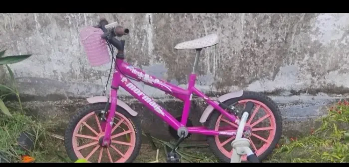 bicicleta 