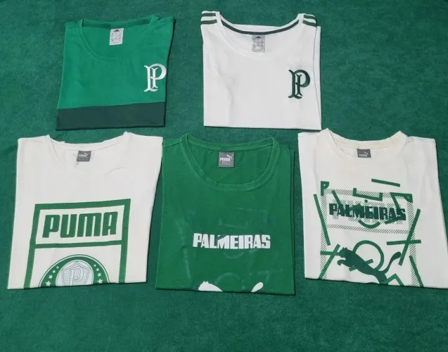 Camiseta Palmeiras Femininas 
