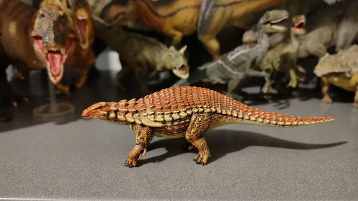 Borealopelta Collecta 