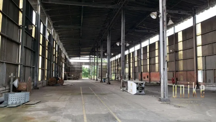 Área, 160000 m² - venda por R$ 96.000.000,00 ou aluguel por R$ 480.000,00/mês - Pagador de