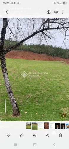 Terreno Alphaville Gramado