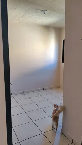 Aluguel de quarto há 6km da ufms