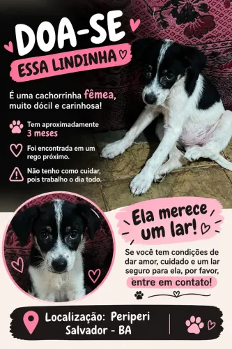 DOA-SE