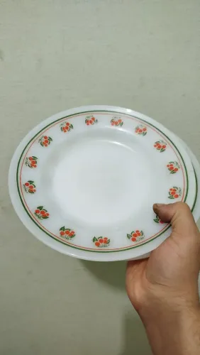 LEIA O ANÚNCIO! Par de pratos de opalina branca decorada, Termo Rey, raso e fundo, 22cm