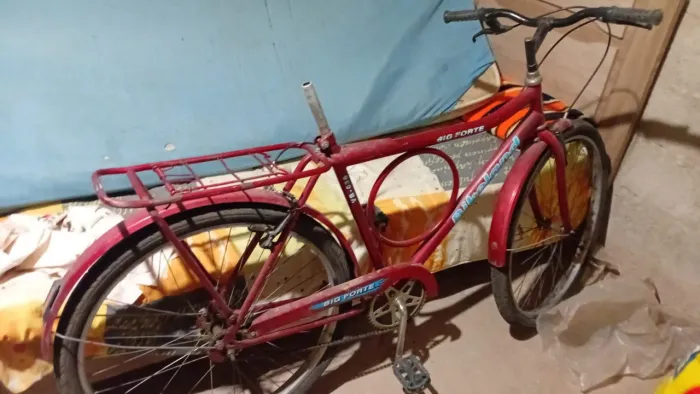 Bicicleta MONARCA